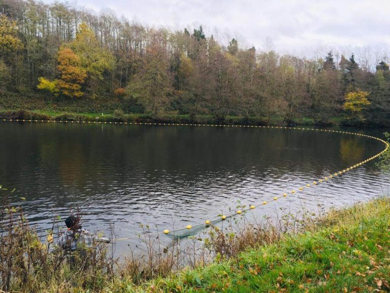 Higham Farm Fishery