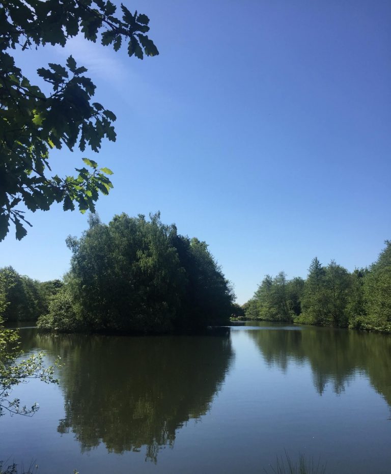 Higham Farm Fishery