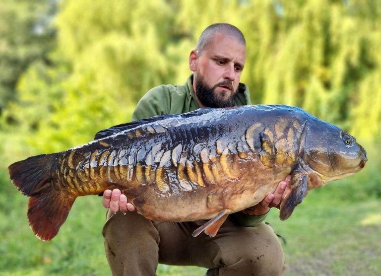 Higham Farm Fishery